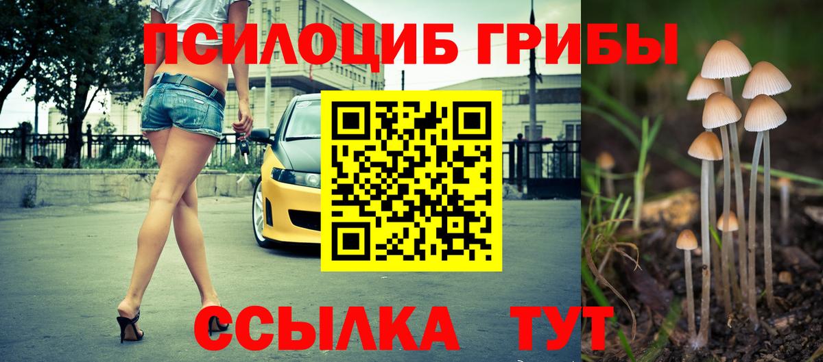 Гагарин  Галлюциногенные грибы MAGIC MUSHROOMS  Вход с VPN 