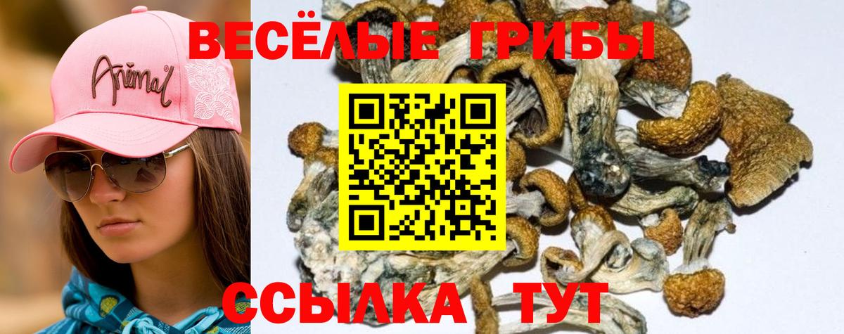 Галлюциногенные грибы мицелий Гагарин